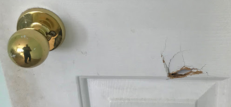 interior door hole repair Live Oak