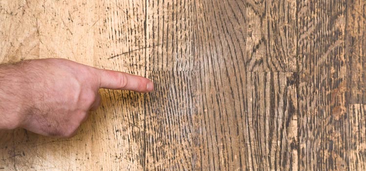 Wood Door Scratch Repair in Live Oak